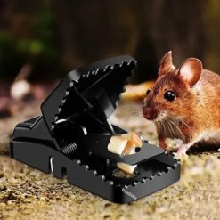 Mouse Trap (২ পিস)